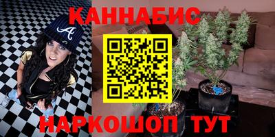 гидропоника Пенза