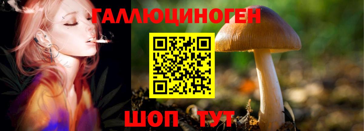 Галлюциногенные грибы GOLDEN TEACHER Уссурийск